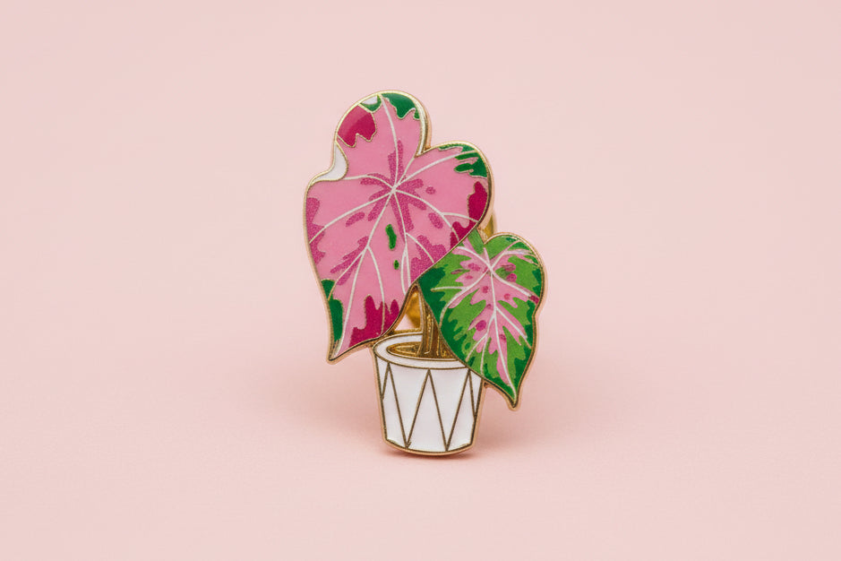 Pin - Rosa krukväxt