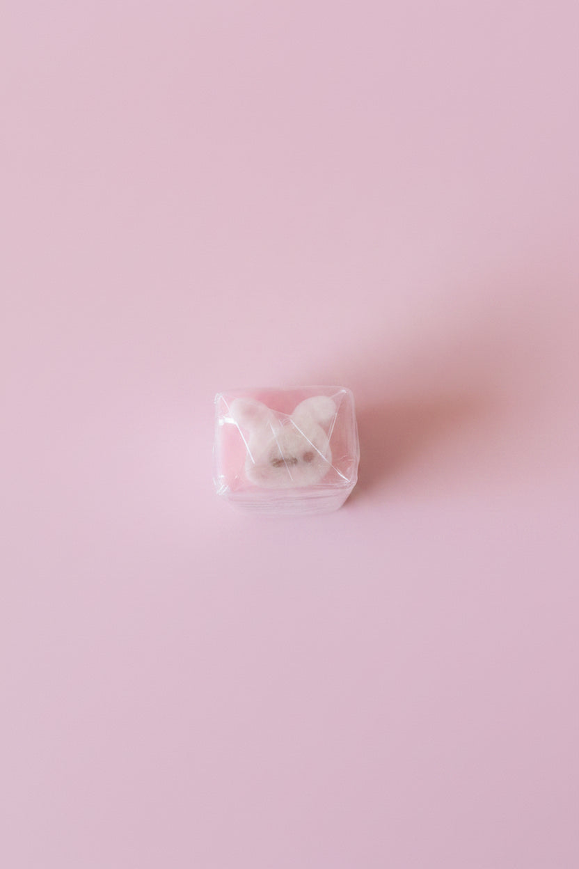 Kawaii kanin suddgummi - Gulligt skrivbordstillbehör för skola och kontor (kopia)