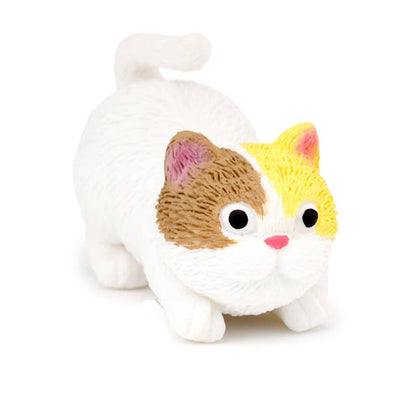 Stretch katt
