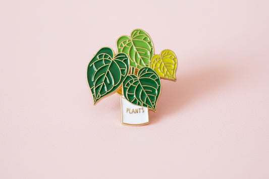 Pin - Grön krukväxt