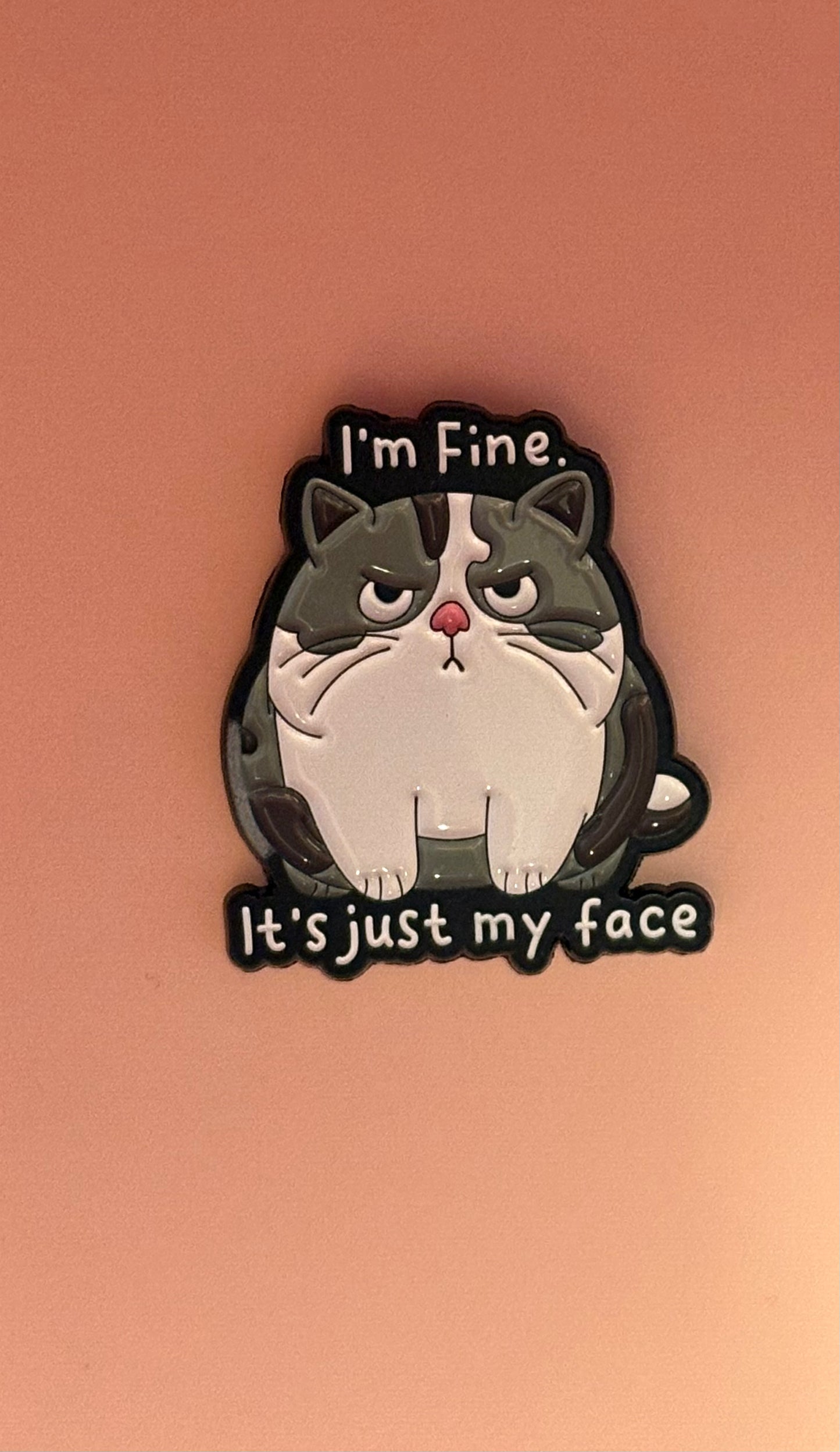 Kawaii Pin med Rolig Text - "Im fine its just my face"