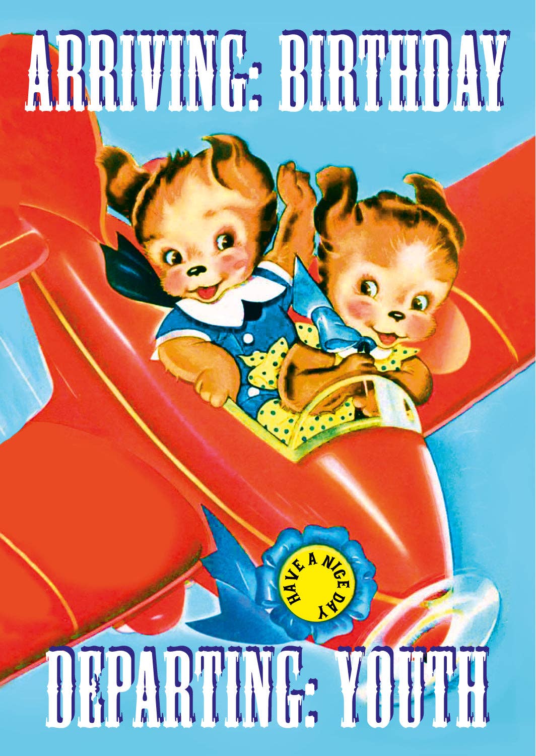 Födelsedagskort flygplan