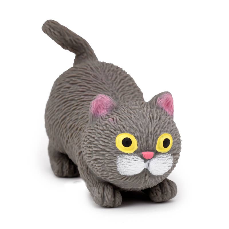 Stretch katt