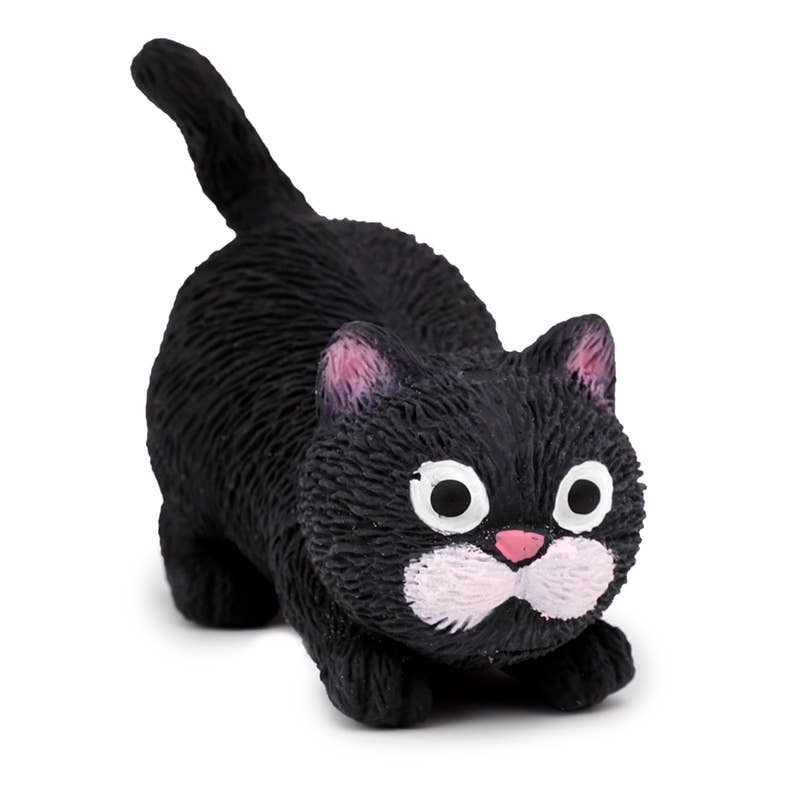 Stretch katt